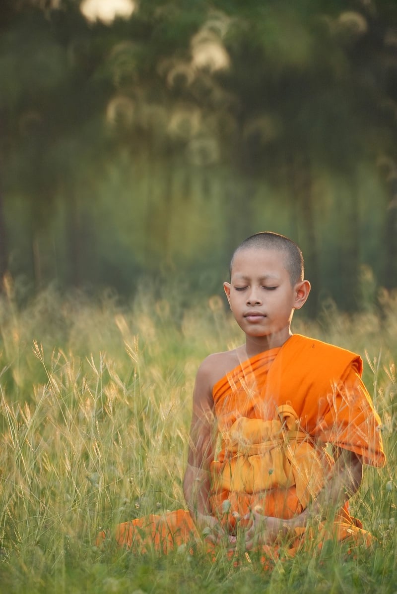 Meditation for Wellness